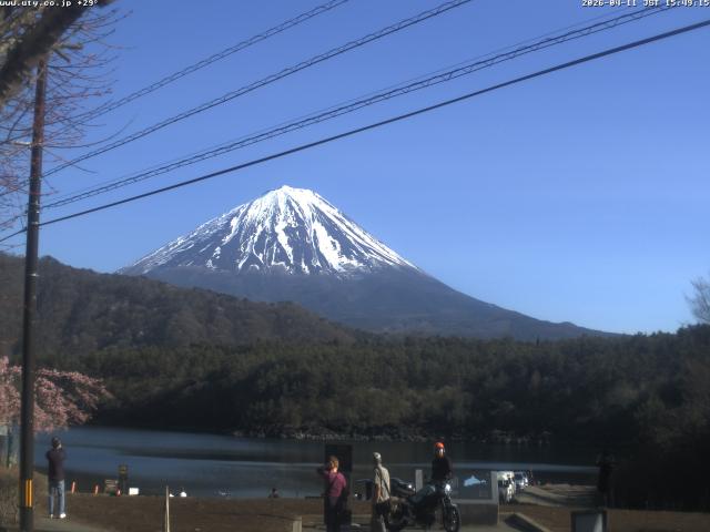 西湖からの富士山