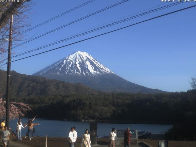 西湖からの富士山