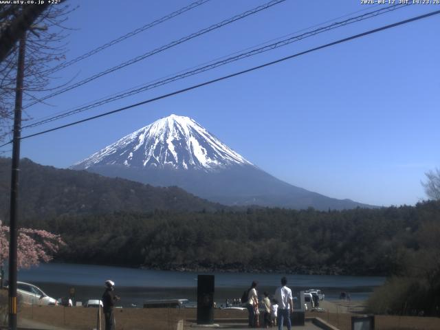 西湖からの富士山