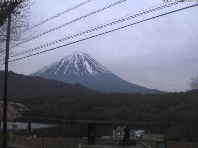 西湖からの富士山