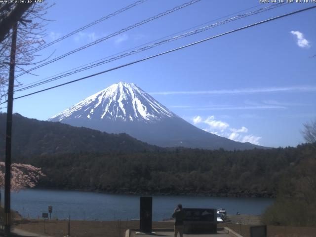 西湖からの富士山