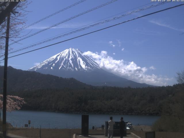 西湖からの富士山