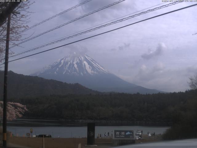 西湖からの富士山