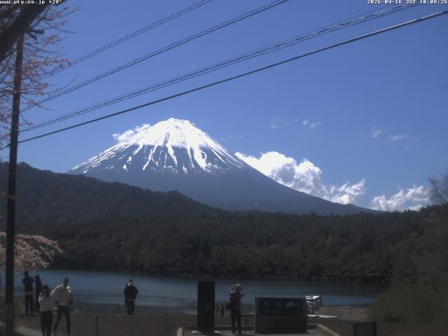 西湖からの富士山