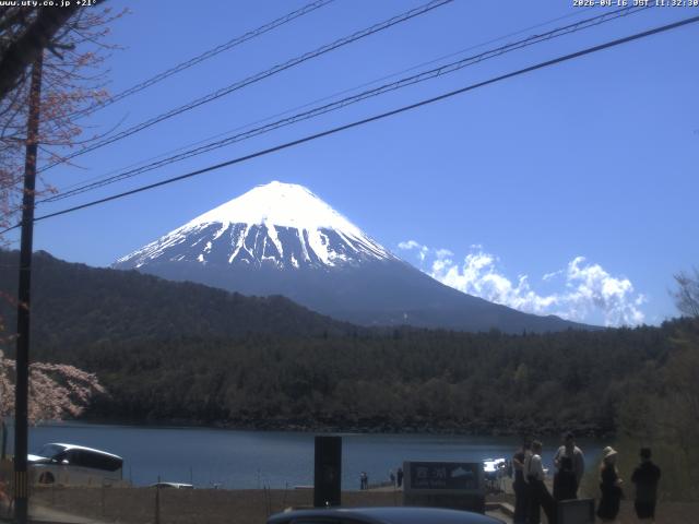西湖からの富士山