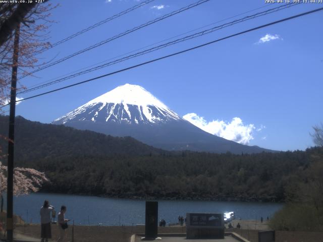 西湖からの富士山