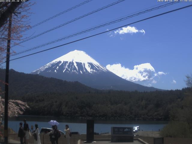 西湖からの富士山