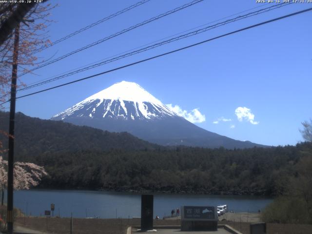 西湖からの富士山