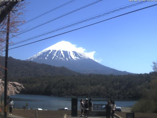 西湖からの富士山