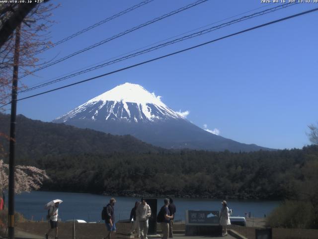 西湖からの富士山
