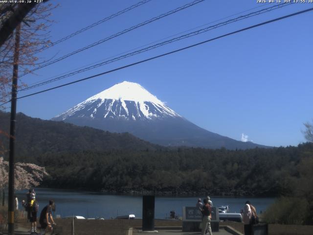 西湖からの富士山