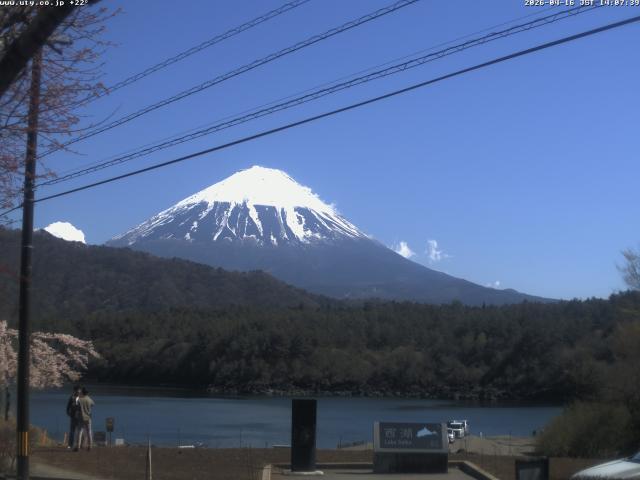 西湖からの富士山