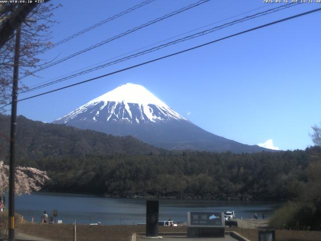西湖からの富士山