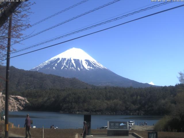 西湖からの富士山