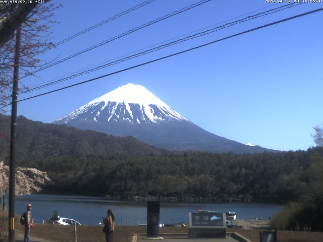 西湖からの富士山