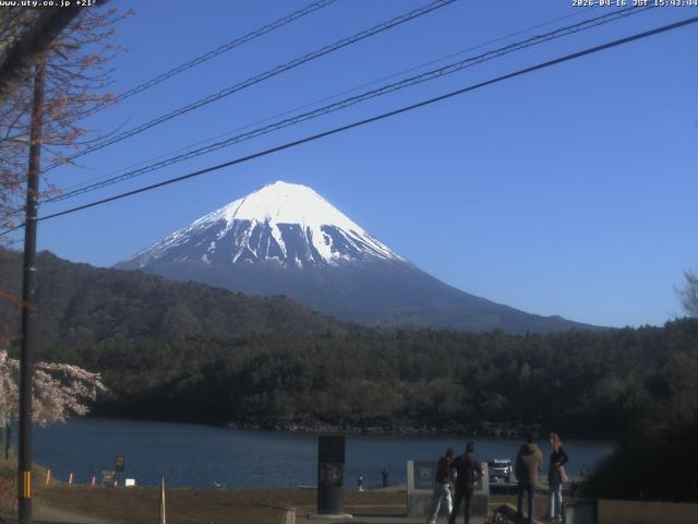 西湖からの富士山