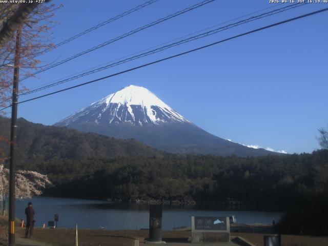 西湖からの富士山