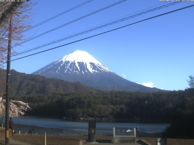 西湖からの富士山
