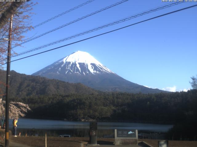 西湖からの富士山
