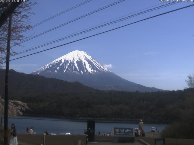 西湖からの富士山