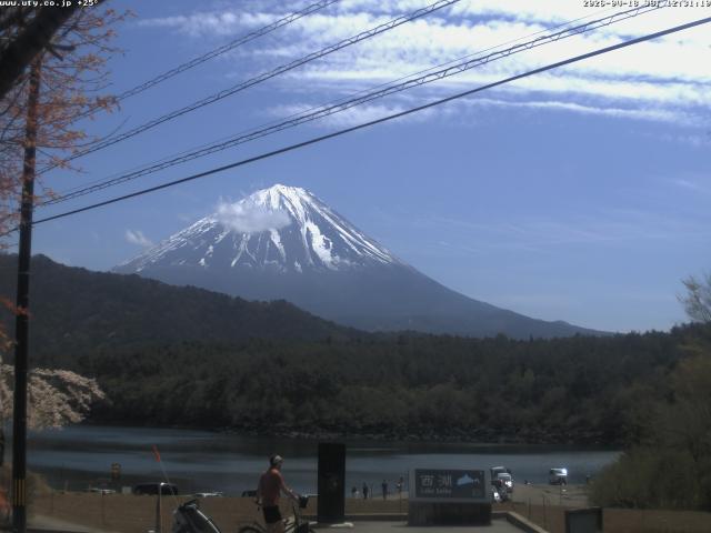 西湖からの富士山