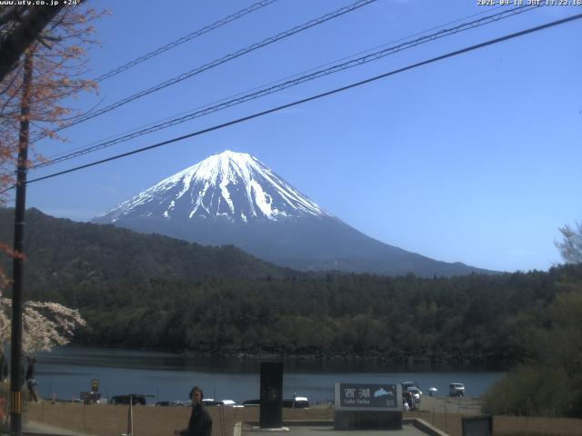 西湖からの富士山