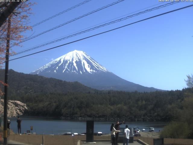 西湖からの富士山