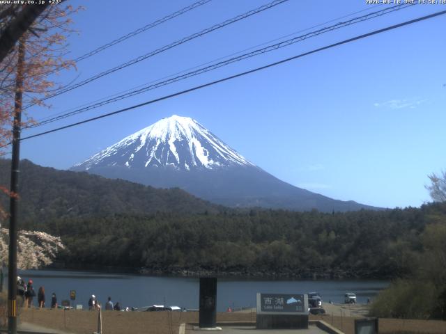 西湖からの富士山