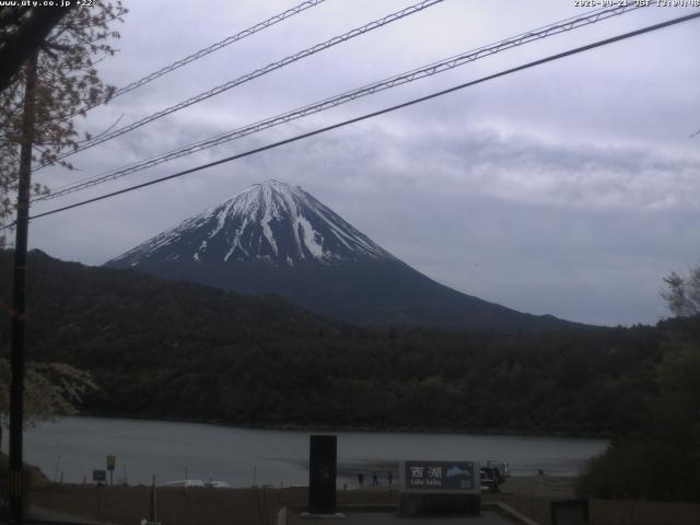 西湖からの富士山