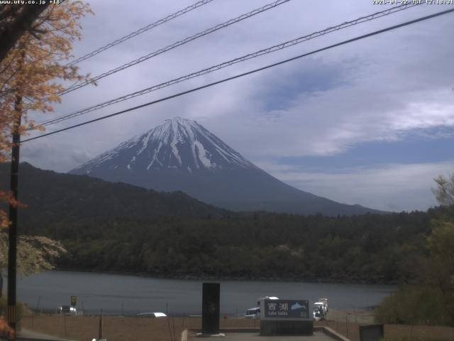 西湖からの富士山