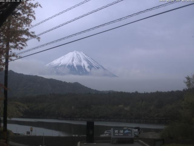 西湖からの富士山