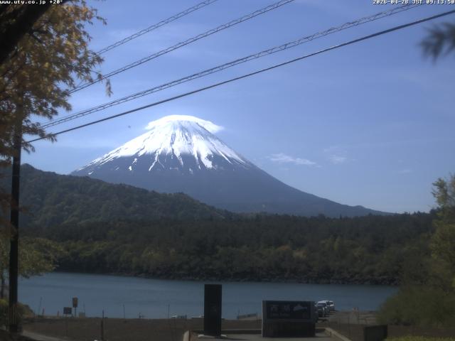 西湖からの富士山