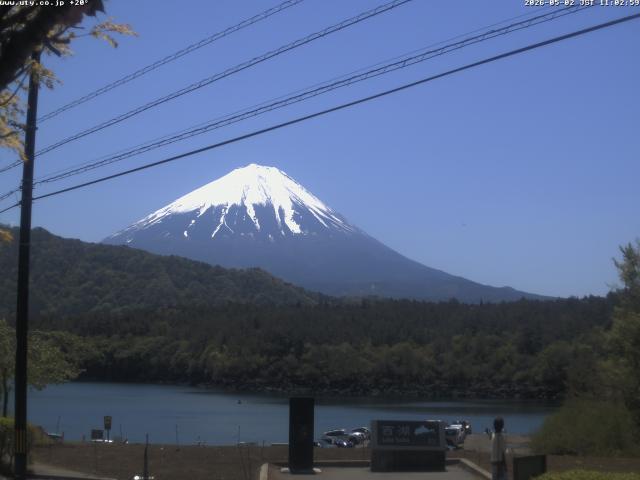 西湖からの富士山