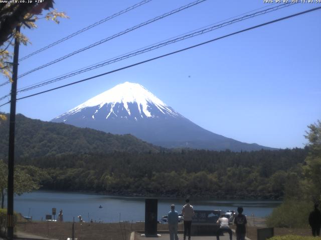 西湖からの富士山