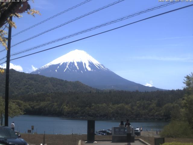 西湖からの富士山