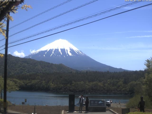 西湖からの富士山