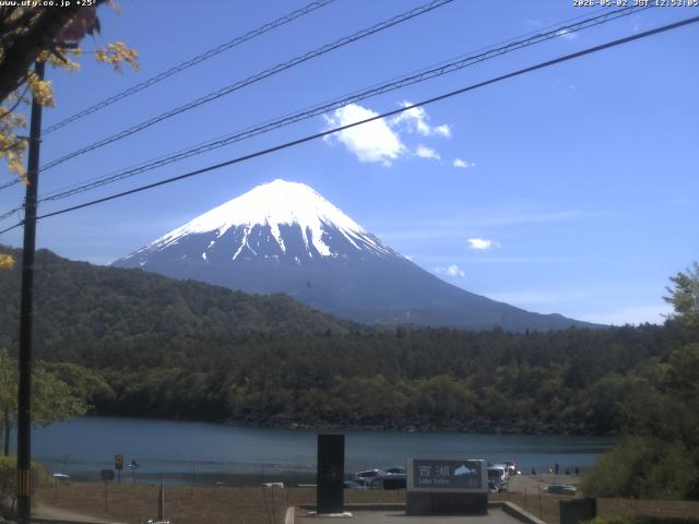 西湖からの富士山