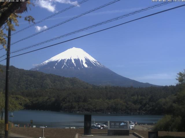 西湖からの富士山