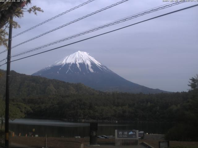 西湖からの富士山