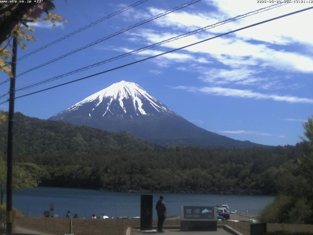 西湖からの富士山