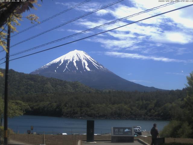 西湖からの富士山