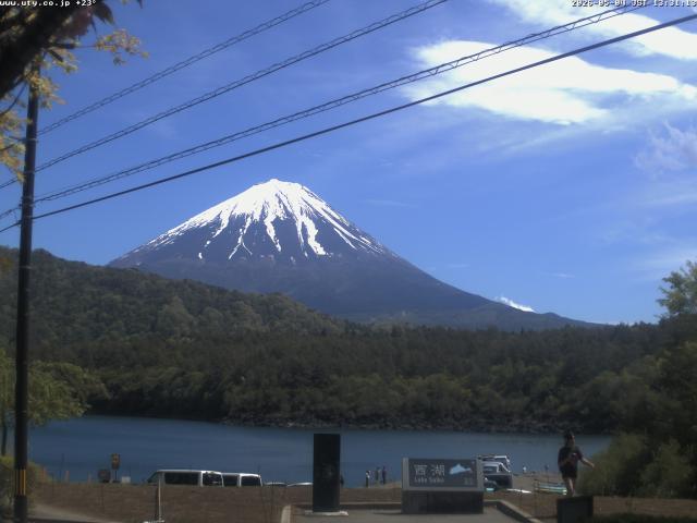 西湖からの富士山