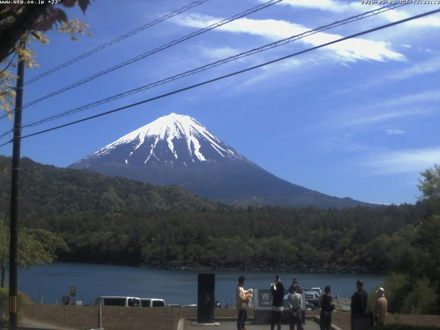 西湖からの富士山