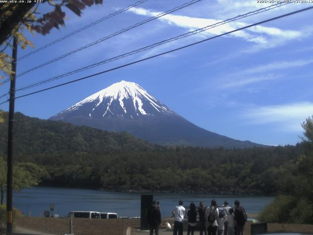 西湖からの富士山