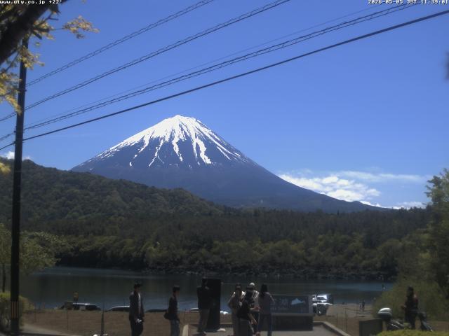 西湖からの富士山