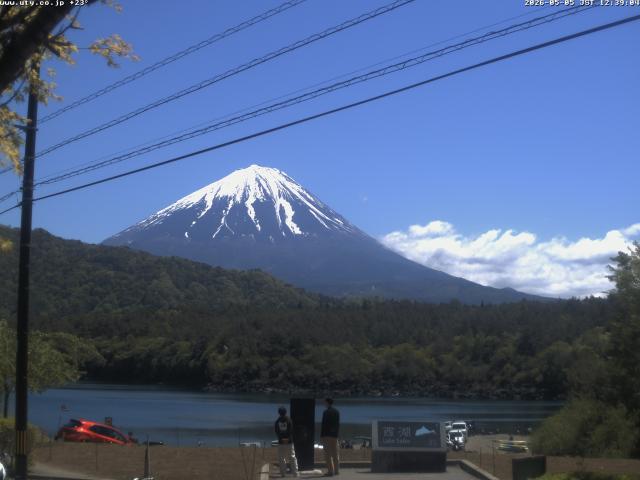 西湖からの富士山