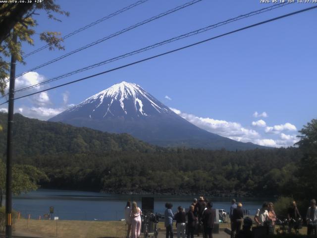 西湖からの富士山