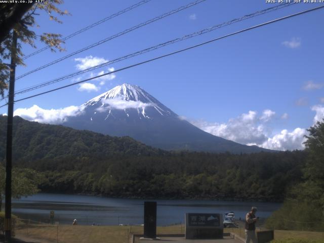 西湖からの富士山