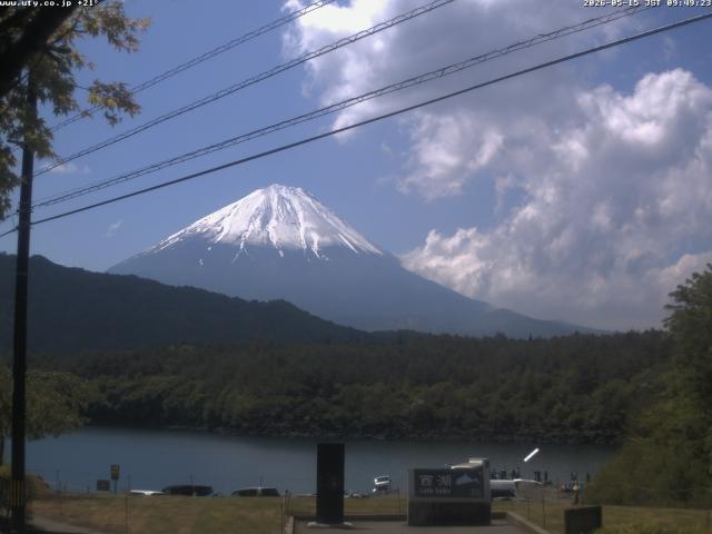 西湖からの富士山