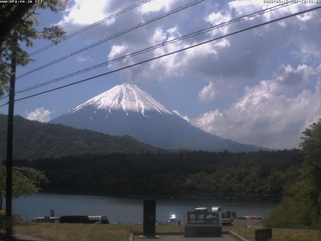 西湖からの富士山